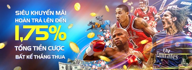 Tỷ lệ kèo Vip