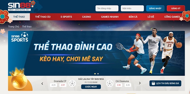 Tỷ lệ kèo Vip